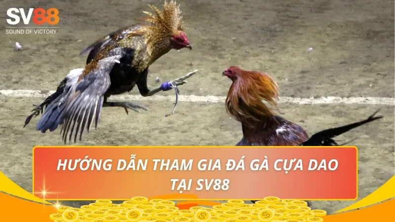Hướng dẫn tham gia đá gà cựa dao tại SV88