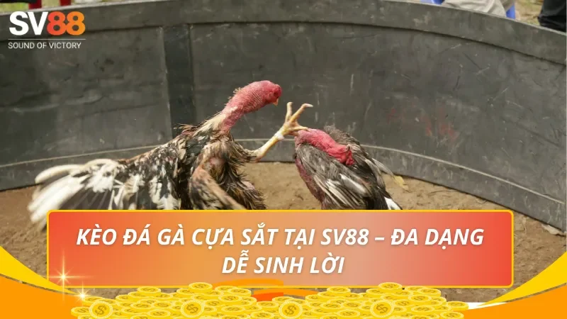 Kèo đá gà cựa sắt tại SV88 – Đa dạng, dễ sinh lời