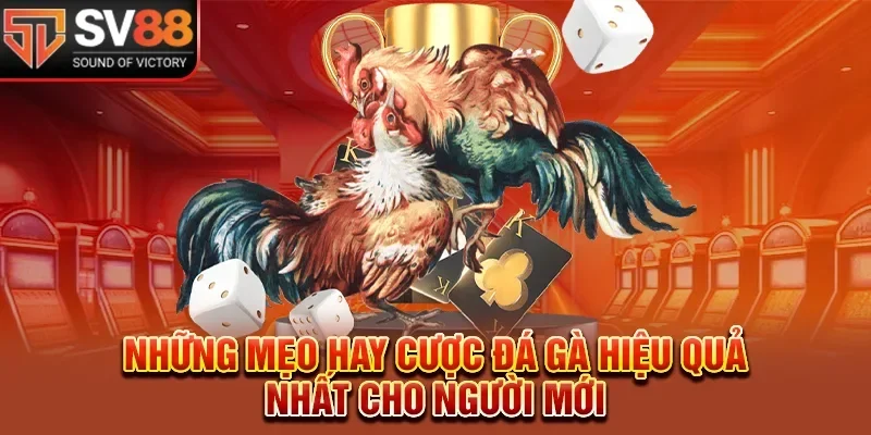 Mẹo chơi hiệu quả từ cao thủ