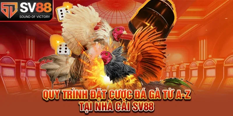 Cách đặt cược đá gà tại Sv88