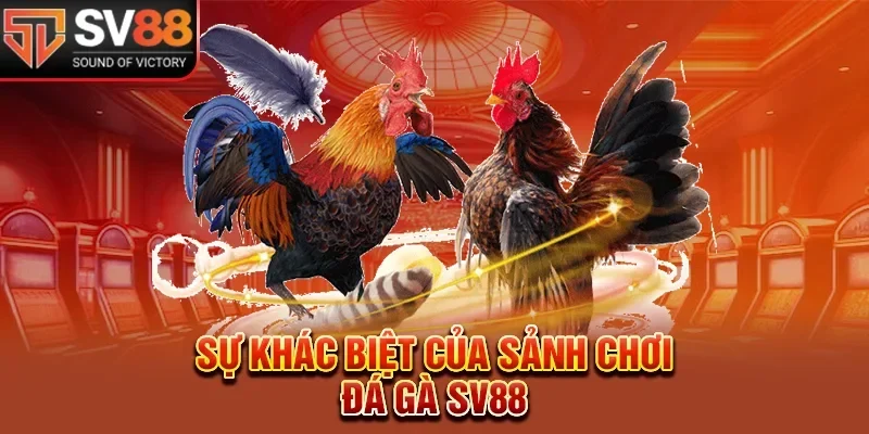 Sảnh chơi đá gà Sv88