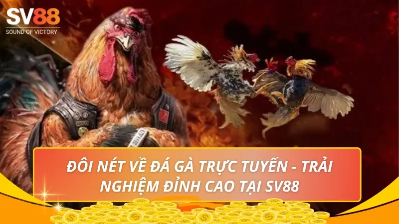 Đôi nét về đá gà trực tuyến - Trải nghiệm đỉnh cao tại SV88