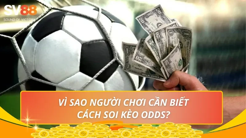 Vì sao người chơi cần biết cách soi kèo odds?